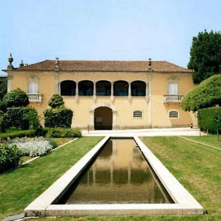 Casa De Barreiros Camelias De Basto Villa Lamelas  Buitenkant foto